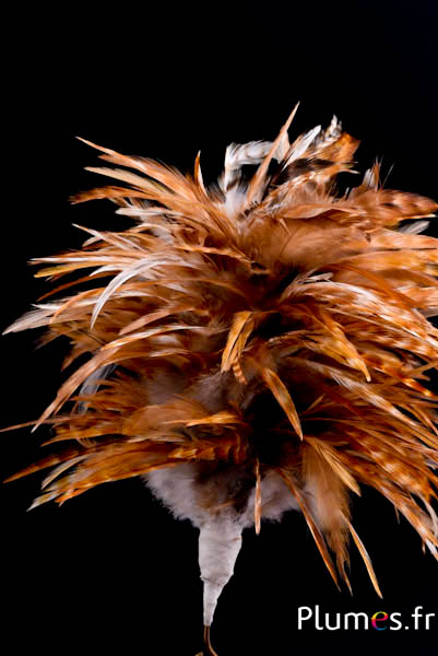 Plumet coq  avec anneau -  hauteur 20 cm - naturel